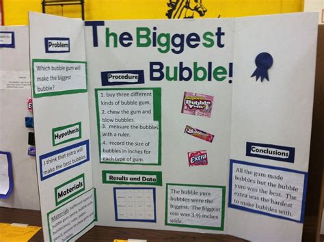 10 Famous Seventh Grade Science Project Ideas 2024