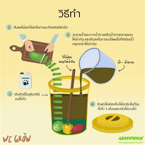 วิธีการทำปุ๋ยอินทรีย์ต่างๆ Greenpeace Thailand ปุ๋ยหมัก ปลูกผัก