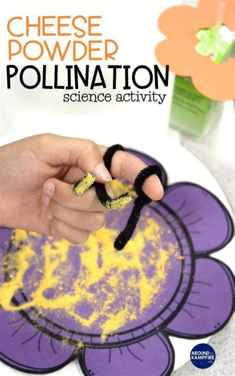 fun science experiments pollination science experiments