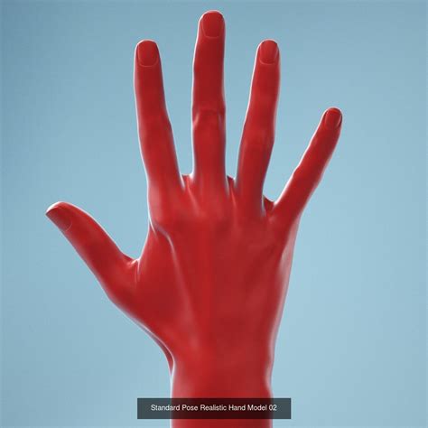 13 Female Hands Posed 3d Model Collection Cgtrader