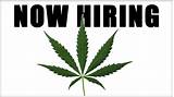 Marijuana Jobs In Maine Images