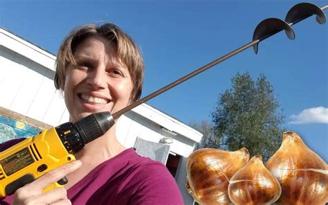 Bulb planting is very easy to do if you get yourself organized, martha previously explained. Plant bulbs fast & easy with a power drill | Pretty Purple ...