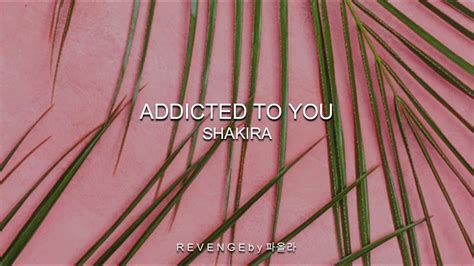 addicted to you shakira lyrics youtube