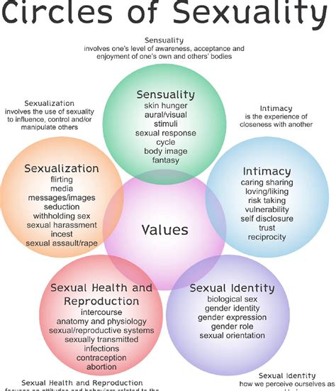 The Circles Of Sexuality Promoting A Strengths Based Model Within Social Work That Provides A