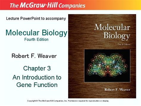 Lecture Power Point To Accompany Molecular Biology Fourth