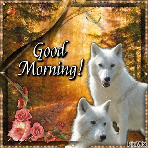 40 Good Morning Wolf Images Good Morning Wishes