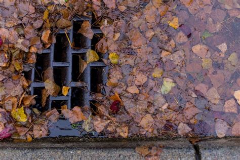 How To Keep Storm Drains Clear Simpson Plumbing Llc