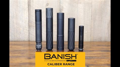 Banish 30 Gold Package Silencer Central