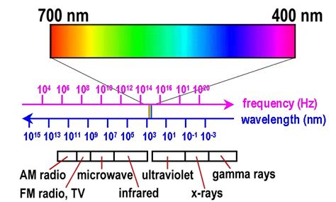 Compare The Size Of The Visible Light Spectrum With The Size Of The
