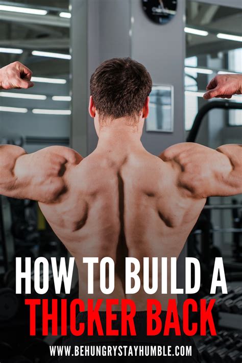 If You Want To Build A Thick Muscular Back This Is The Workout For You In This Article You Ll