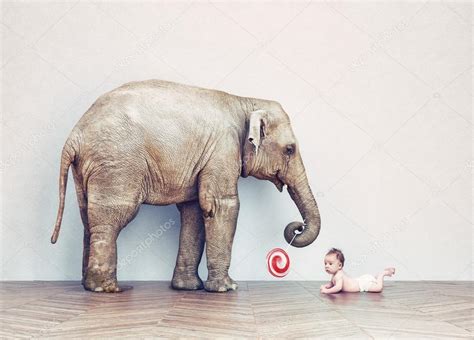 Baby Elephant And Human Baby — Stock Photo © Vicnt2815 88648898