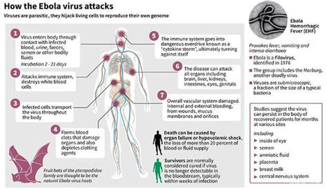 Haemostatic changes in five patients infected with ebola virus. Ebola outbreak in pictures: Haunting images as the battle ...