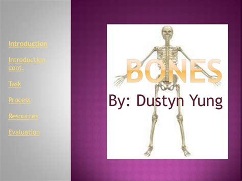 Ppt Bones Powerpoint Presentation Free Download Id6262851