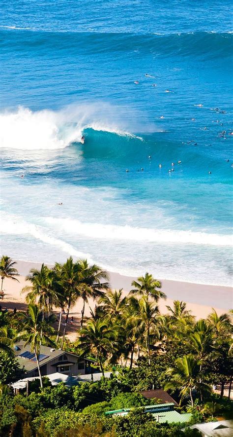 Hawaii Surfing Wallpapers Bigbeamng