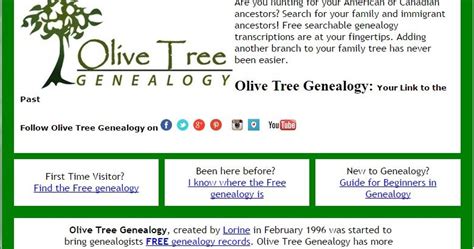 Budding Genealogists Website Olive Tree Genealogy