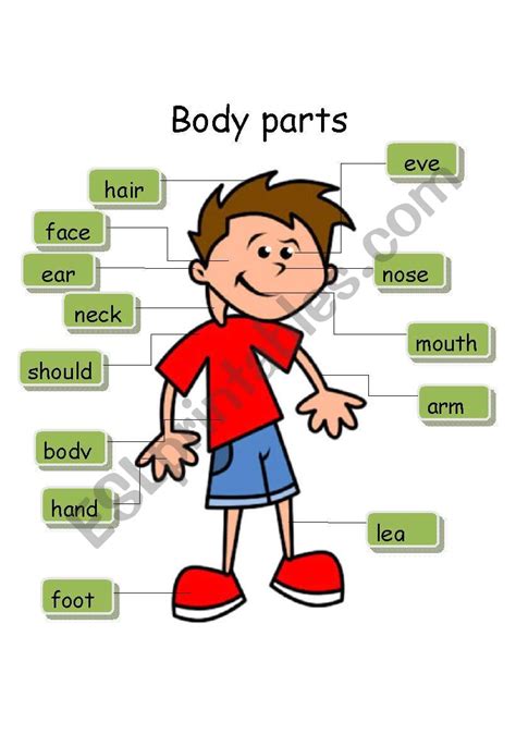 body parts spelling worksheet body parts worksheets gamesesl words