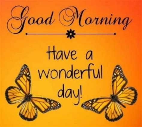 Wonderful Day Good Morning Butterfly Positive Good Morning Quotes