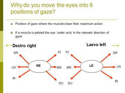 Extra Ocular Muscles 4 Investigating Binocular Eye Movements Ocular