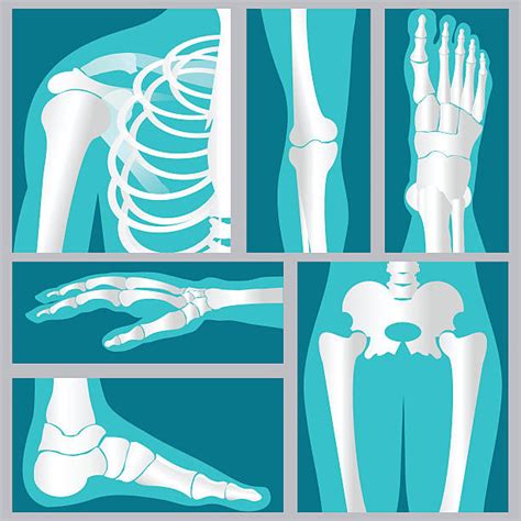 Best Human Leg Illustrations Royalty Free Vector Graphics And Clip Art