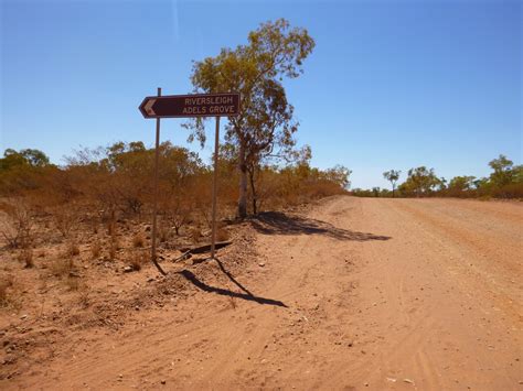 Many of the trees are huge, magnificent giants that dwarf the trekker. Williams Lap of Australia: Boodjamulla (Lawn Hill ...