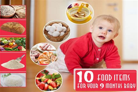 Instead, offer your baby cheddar cheese, cottage cheese, and cream cheese. 9 Month Baby Food: Top 10 Food Ideas And 4 Interesting ...