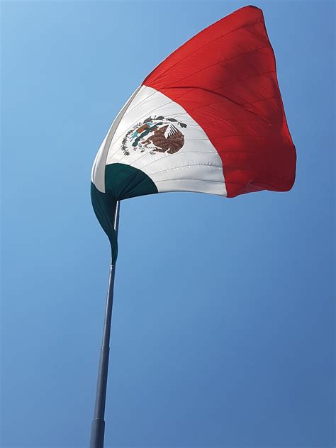 Mexicoflagmexican Flagfree Pictures Free Photos Free Image From