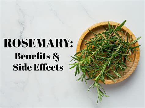Rosemary Health Benefits Uses Side Effects Of Gulmehendi
