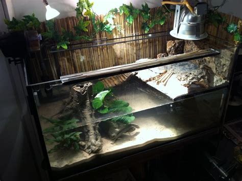 Lorem ipsum dolor sit amet, consectetur adipiscing elit. Let Your Pets Have Their Own Paradise | Turtle aquarium ...