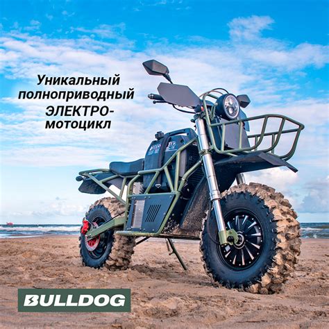 Внедорожные мотоциклы ЭЛЕКТРОмотоциклы — Baltmotors