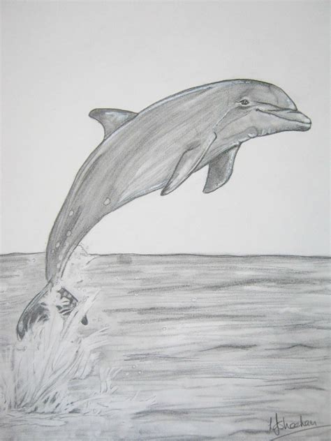 Dolphin A4 Graphite Easy Pencil Drawings Delfines Cómo Dibujar Cosas