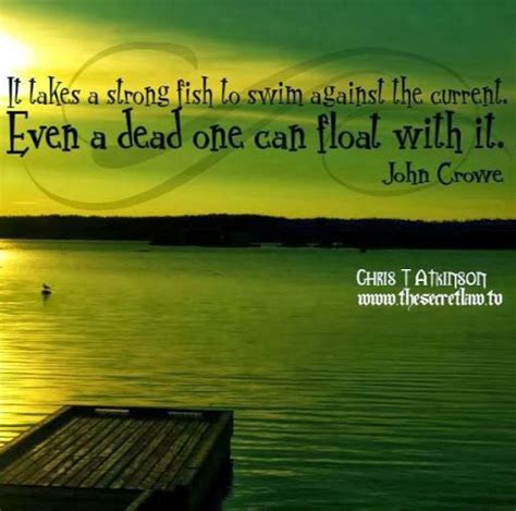 Because of this, i spend far too much time on pinterest! It takes a strong fish to swim against the current. Even a ...