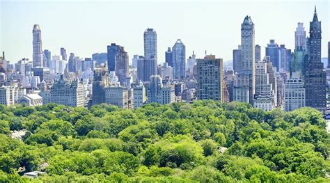 Central Park South Views Deluxe Nyc Apartment For Rent