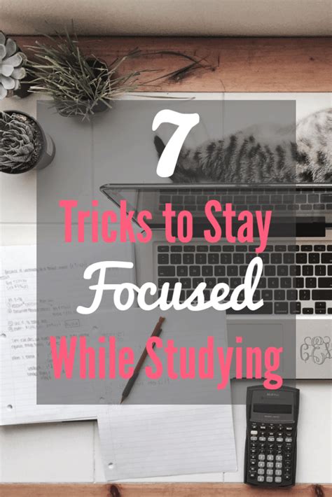 7 Tricks To Stay Focused While Studying Society19 School Study Tips