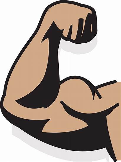Strong Arm Muscle Drawing Clipart Transparent Upper