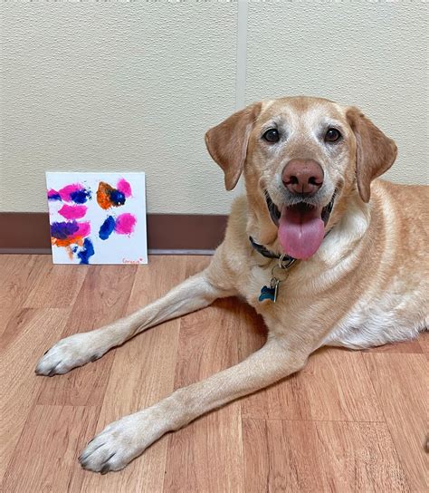 Meet our Pup... - Camp Bow Wow Albuquerque