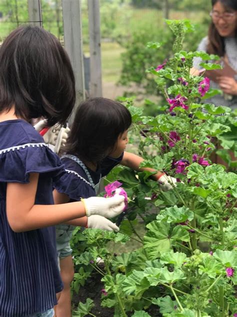 Kid's Gardening Lesson - GARDENS（ガーデンズ） | 香川県高松市の造園・エクステリア・ガーデニング デザイン