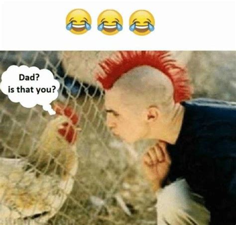 Top 100 Funny Memes To Make You Laugh Out Loud Crazy Funny Memes