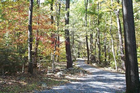 Delaware state forest enjoy the poconos in their natural form. Big Spring State Forest Picnic Area