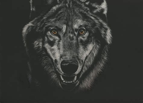 Images Wolf Snout Black And White Head Glance Animals Painting Art