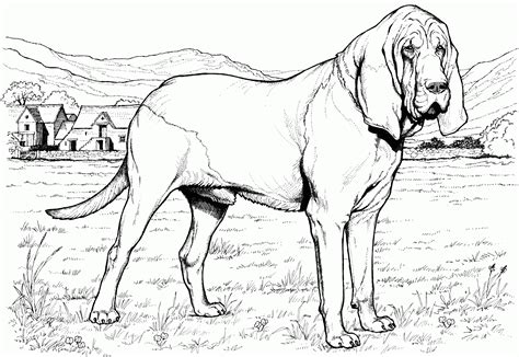 But if trained properly, a dog can turn into a gentleman or. Realistic Dog Coloring Pages