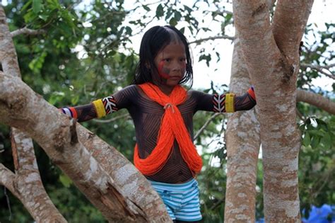6ª Semana Dos Povos Indígenas é Comemorado Em São Félix Do Xingu