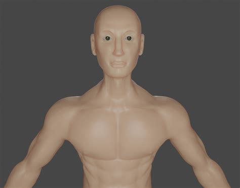 Artstation Human Male Anatomy Mesh Model Resources