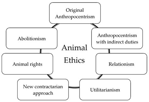 Sustainability Free Full Text Animal Ethics And Eating Animals