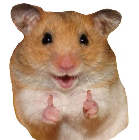 Freetoeditlikerhamster Hamster Like Nine Meme Remixit