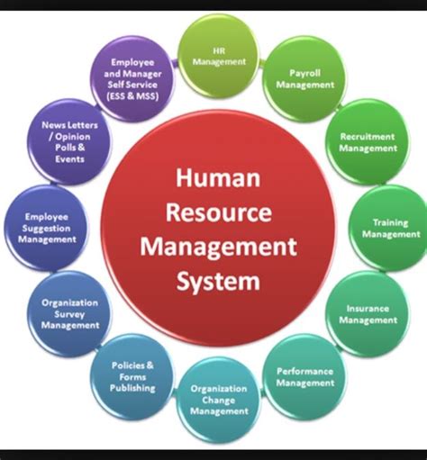 Management Components Identify Prioritize Execute Human