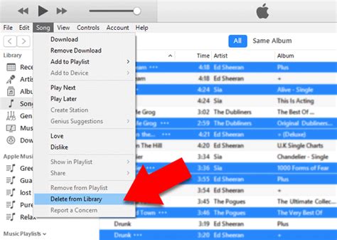 Solved How To Delete Duplicates In Itunes 2 Best Ways