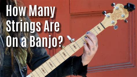 How Many Strings Does A Banjo Have Stringvibe