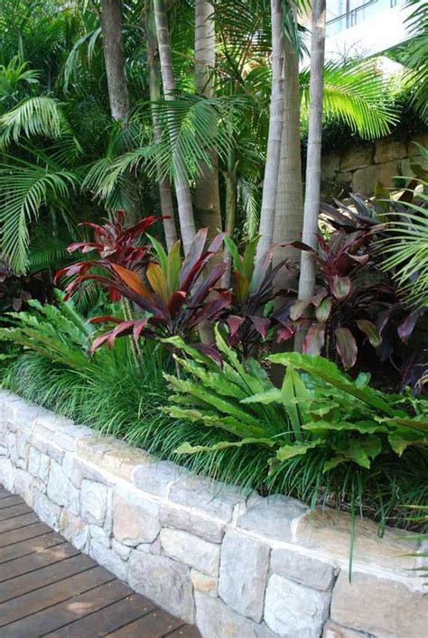 Aménagement Jardin Avec Palmier Touche Dexotisme Tropical Backyard