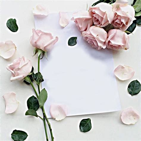 6 check that konica minolta bizhub 40p ppd is selected in the print using list. خلفيات ورد ابيض للتصميم