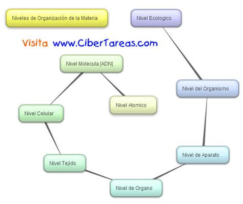 Niveles De Organizacion De La Materia Mapa Conceptual Gufa Hot